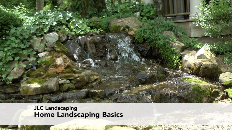 Home Landscaping Basics